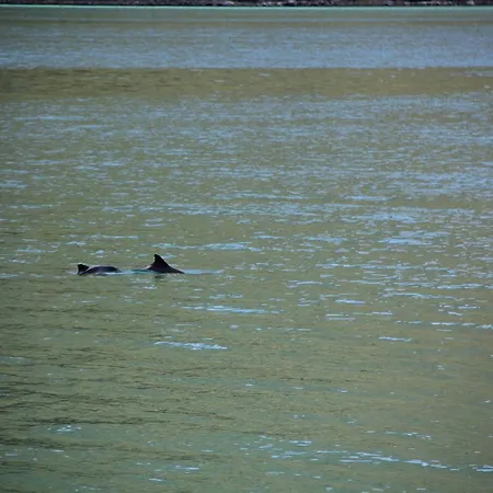 Fjordhytte-5 Hardanger-region, Zwischen Odda Und Rosendal Sundal