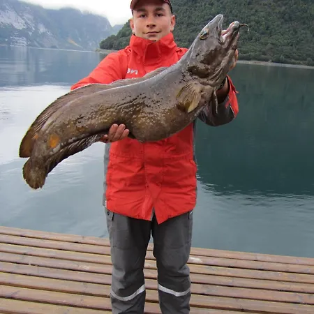 Dom wakacyjny Fjordhytte-5 Hardanger-region, Zwischen Odda Und Rosendal *