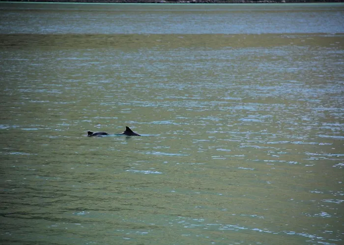 Fjordhytte-5 Hardanger-region, Zwischen Odda Und Rosendal Sundal