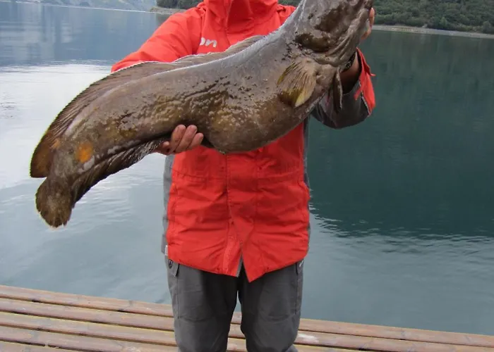 Casa de Férias Fjordhytte-5 Hardanger-region, Zwischen Odda Und Rosendal *