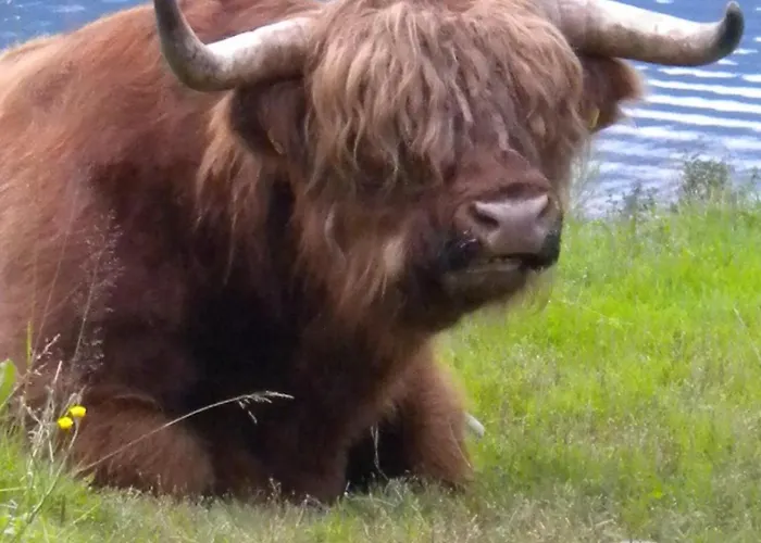 Fjordhytte-5 Hardanger-region, Zwischen Odda Und Rosendal Sundal