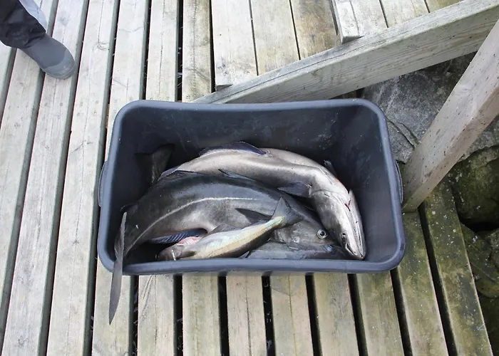 Casa de Férias Fjordhytte-5 Hardanger-region, Zwischen Odda Und Rosendal Sundal