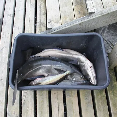 Casa vacanze Fjordhytte-5 Hardanger-region, Zwischen Odda Und Rosendal Sundal